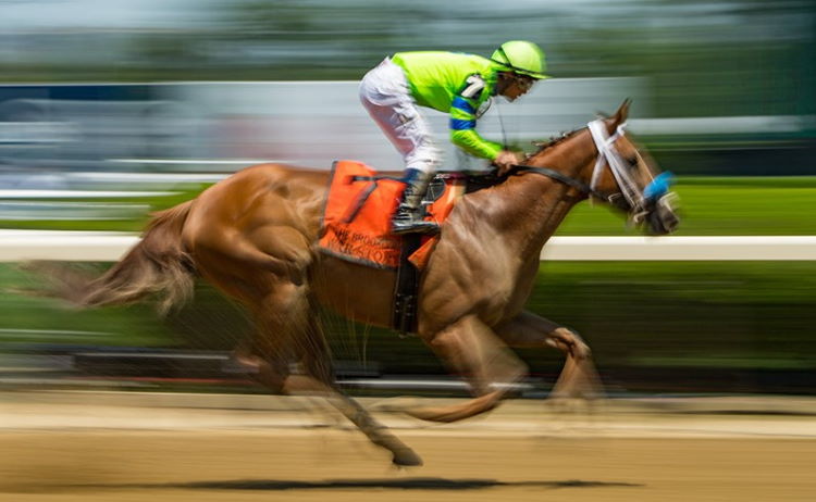 Букмейкъри за конни надбягвания