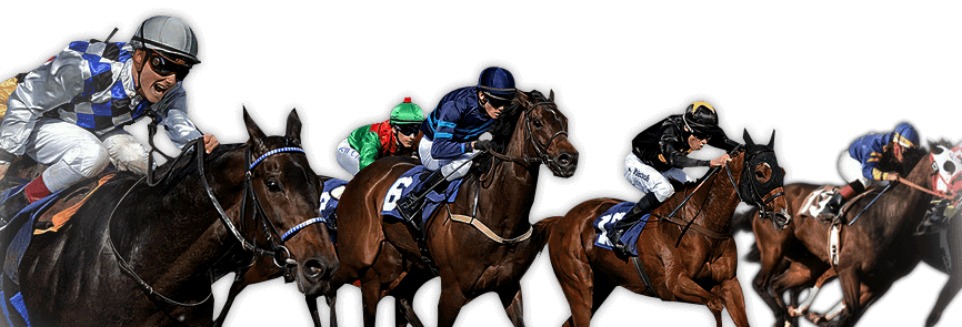 Прогнози за конни набягвания