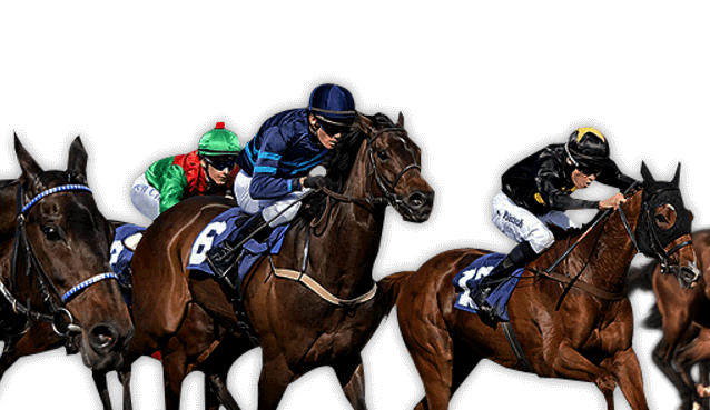 прогнози за конни надбягвания